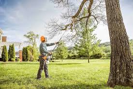 Best Tree Preservation Services  in Short Hills, NJ